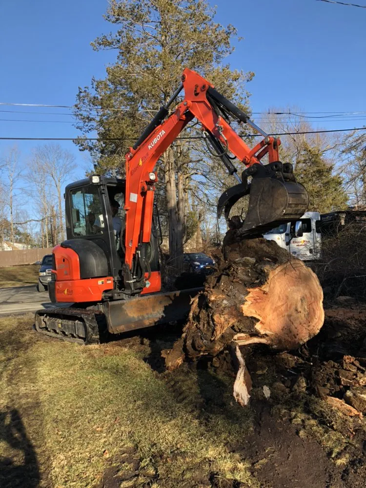 Local lawn care service experts serving New Fairfield, CT - Eight 4 Five Services