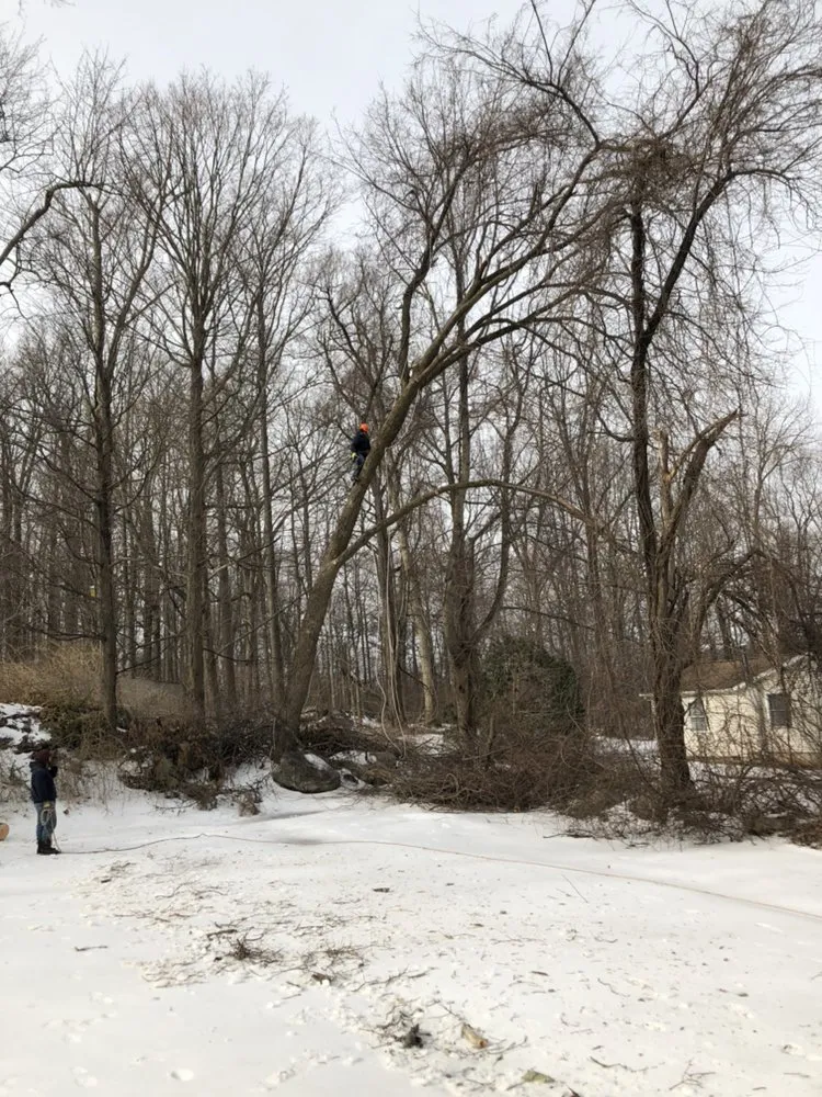 Professional landscape installation experts serving New Fairfield, CT - Eight 4 Five Services