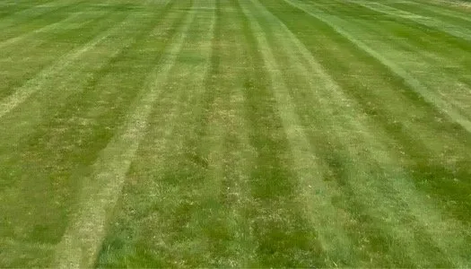 Local landscape installation for residential properties in Fredericksburg, VA by Eightball Lawn Care