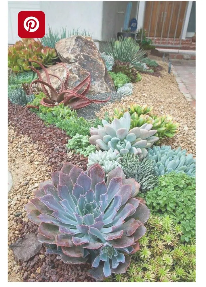 Expert yard cleanup service in Palm city, FL by Eileen G Designs