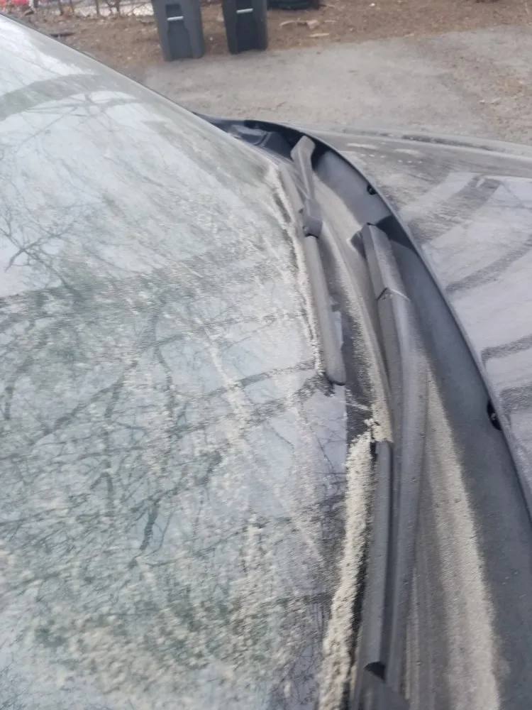 Trusted outdoor landscaping in Fitchburg, MA by Einstein's