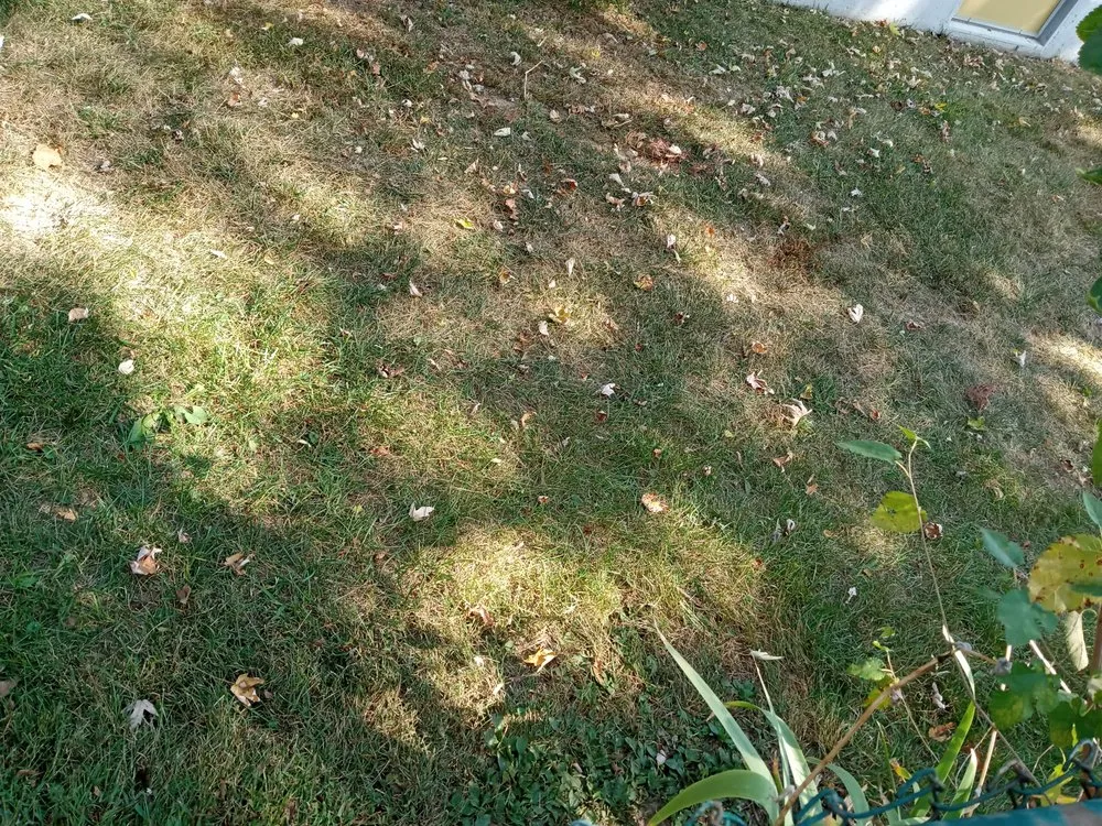 Affordable residential landscaping experts serving Saint Charles, MO - Eisenbath Lawn Care