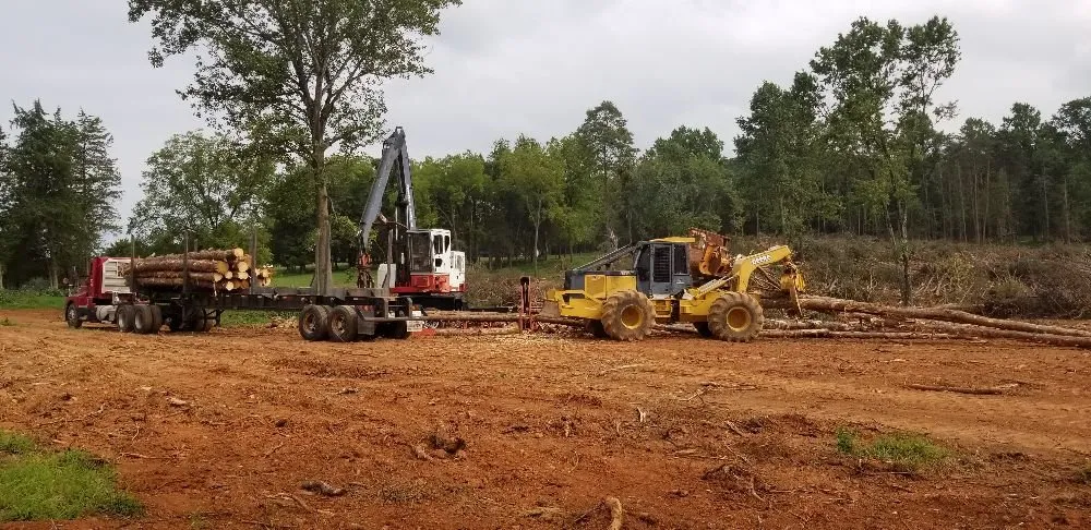 Reliable yard maintenance in Amissville, VA by Eisenmann's Yard & Land Services