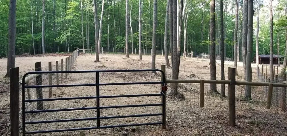 Top-rated landscape design in Amissville, VA by Eisenmann's Yard & Land Services