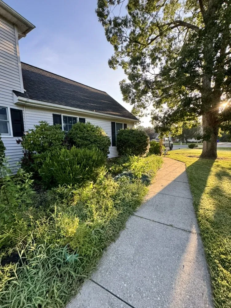Trusted outdoor landscaping for beautiful yards in Harbeson, DE by E&J Cleaning Solutions