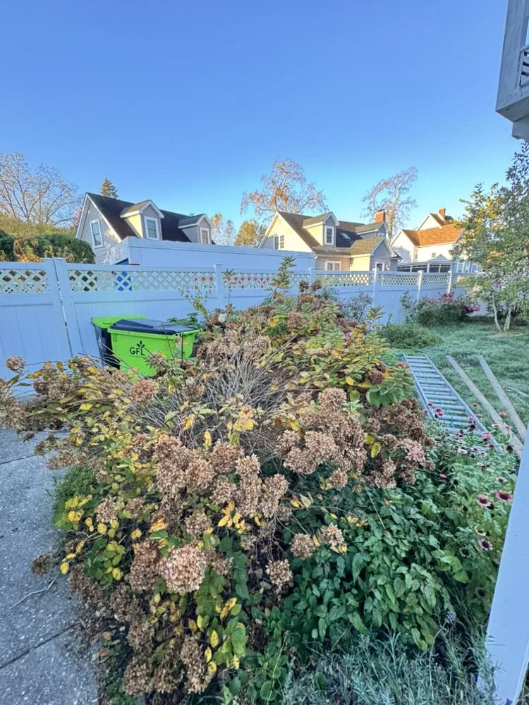 Expert lawn care service in Harbeson, DE - E&J Cleaning Solutions