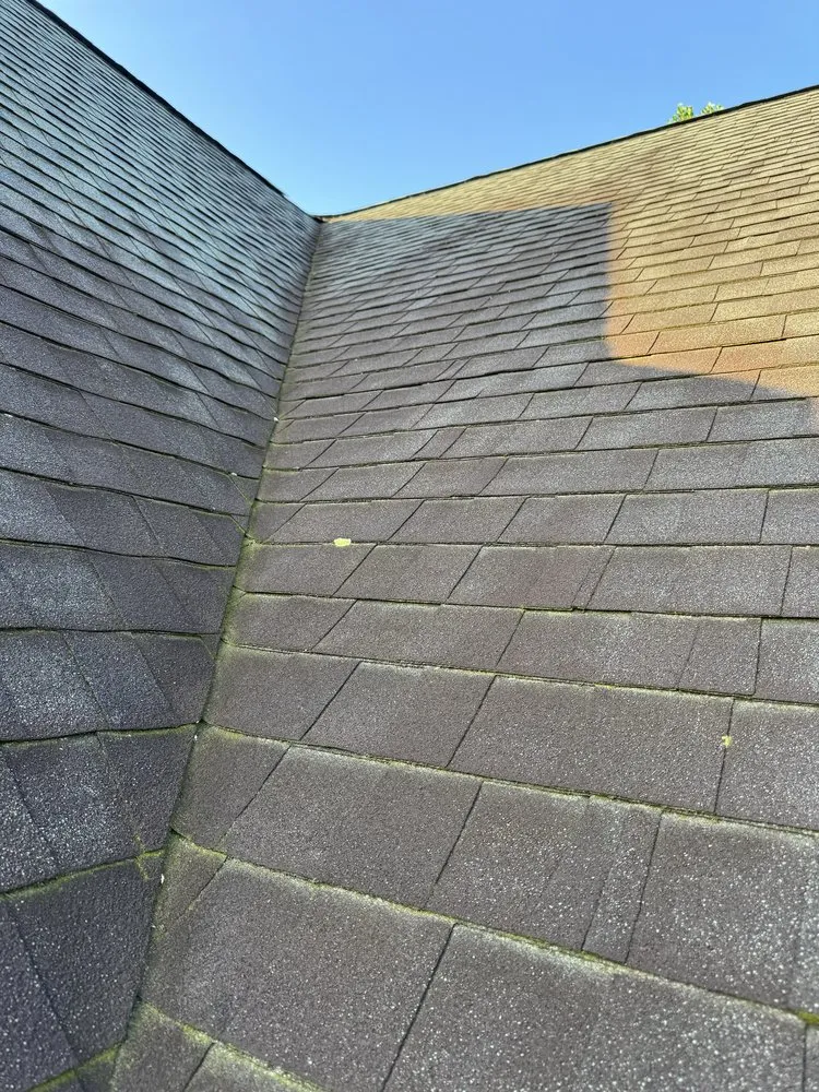 Local yard cleanup service in Harbeson, DE by E&J Cleaning Solutions
