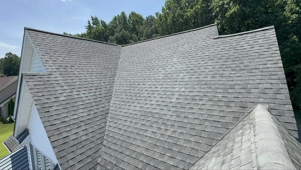 Custom yard cleanup service in Harbeson, DE by E&J Cleaning Solutions