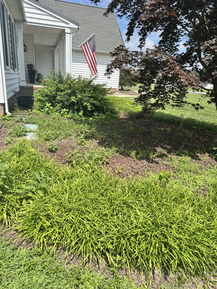 Local landscape installation for residential properties across Harbeson, DE - E&J Cleaning Solutions
