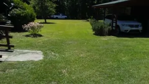 Top-rated lawn care service for beautiful yards in Cairo, GA by E&J Landscape And Lawn Services