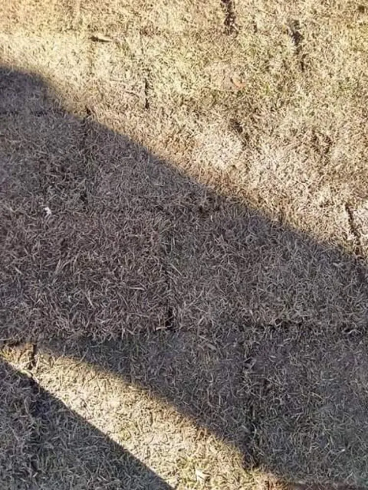 Professional landscape design for homes across Cairo, GA - E&J Landscape And Lawn Services