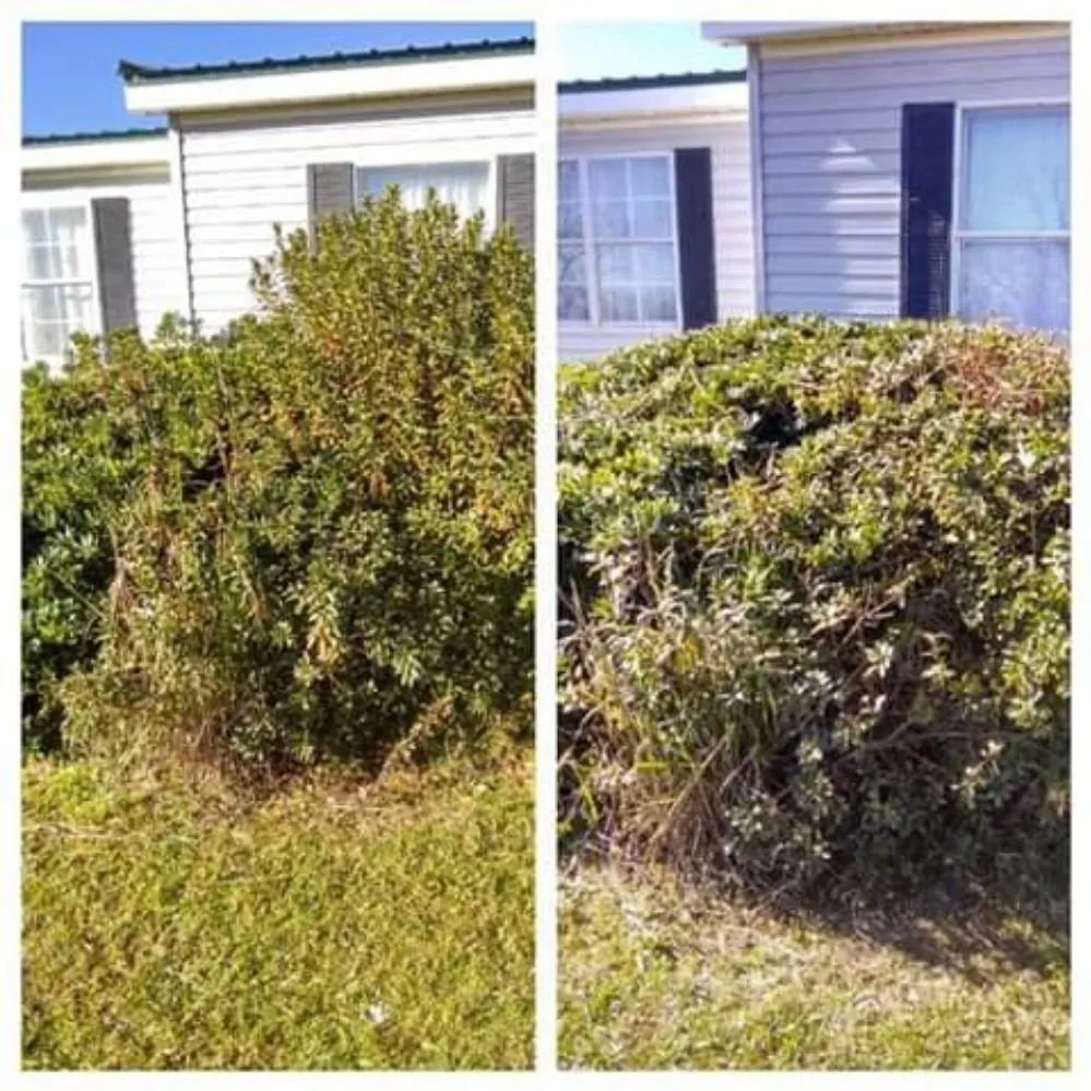 Trusted landscape installation experts serving Cairo, GA - E&J Landscape And Lawn Services