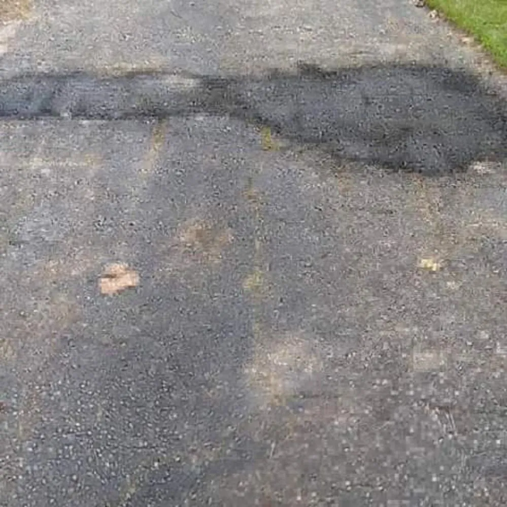 Trusted landscaping services in Cairo, GA - E&J Landscape And Lawn Services