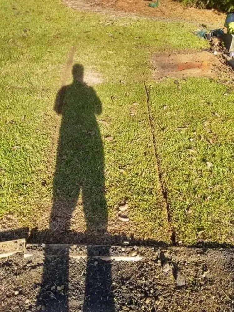 Expert yard cleanup service for year-round maintenance in Cairo, GA by E&J Landscape And Lawn Services