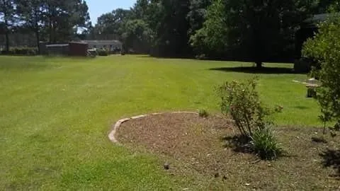 Professional yard maintenance for beautiful yards across Cairo, GA - E&J Landscape And Lawn Services