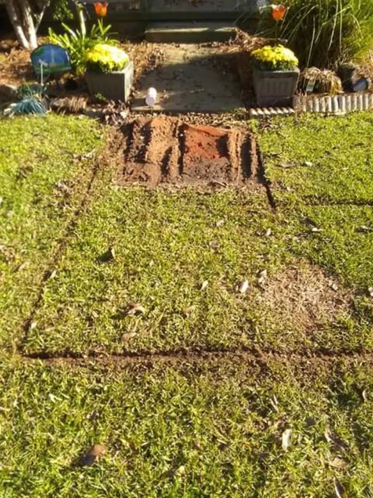 Top-rated landscape design for residential properties across Cairo, GA - E&J Landscape And Lawn Services