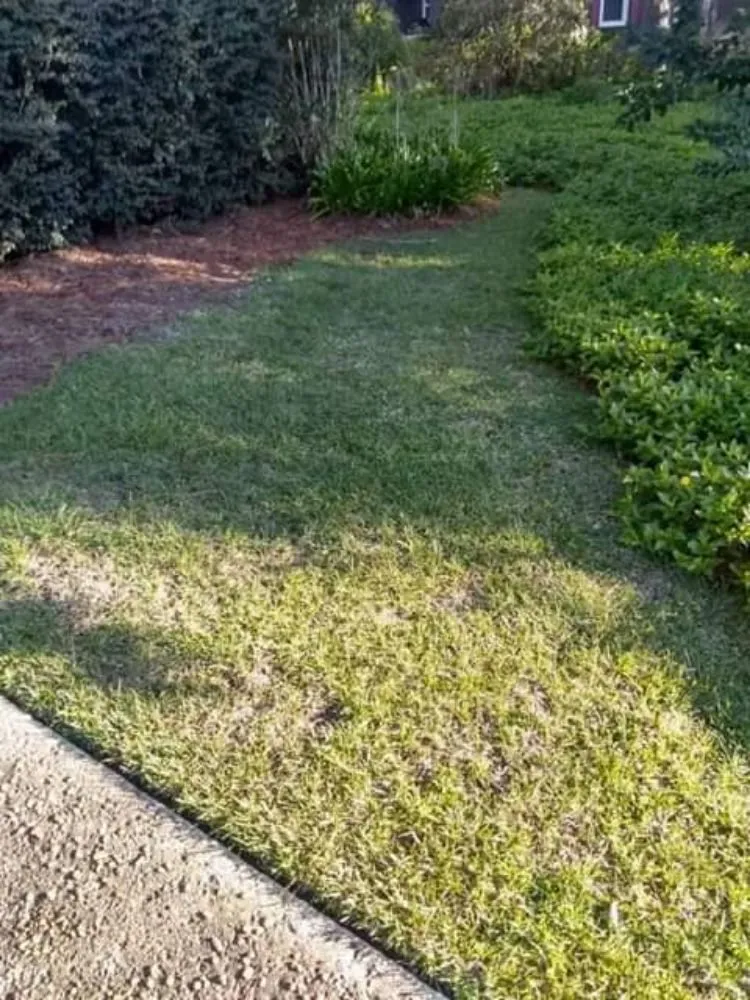 Professional yard maintenance for homes across Cairo, GA - E&J Landscape And Lawn Services