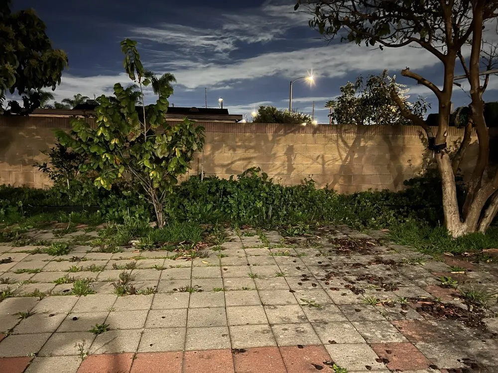 Trusted landscaping services with custom design in Long Beach, CA by EJ landscape