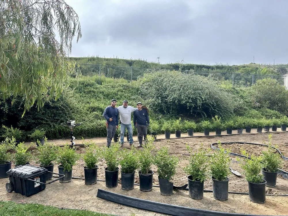 Trusted yard maintenance in Long Beach, CA - EJ landscape