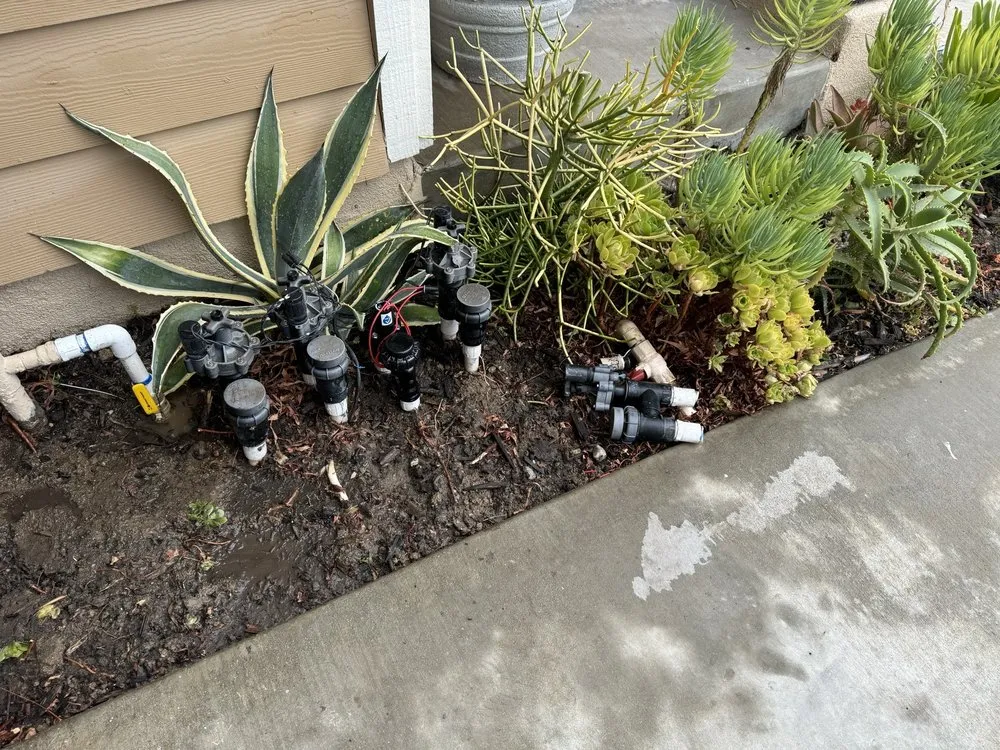 Expert residential landscaping for beautiful yards in Long Beach, CA by EJ landscape