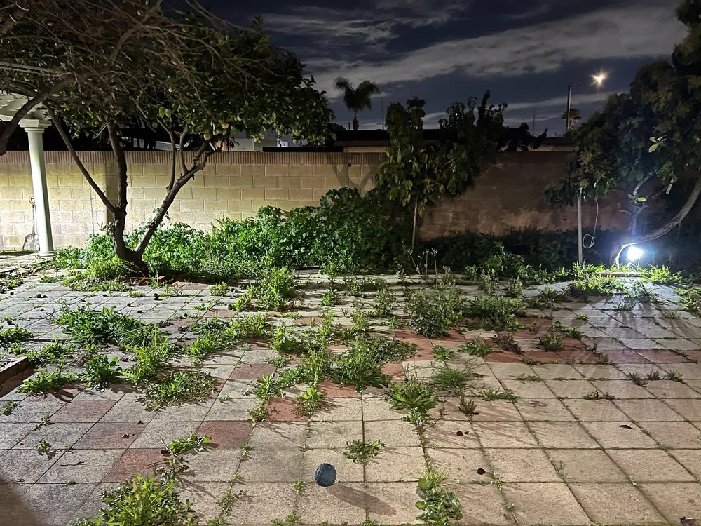 Top-rated outdoor landscaping for homes in Long Beach, CA by EJ landscape