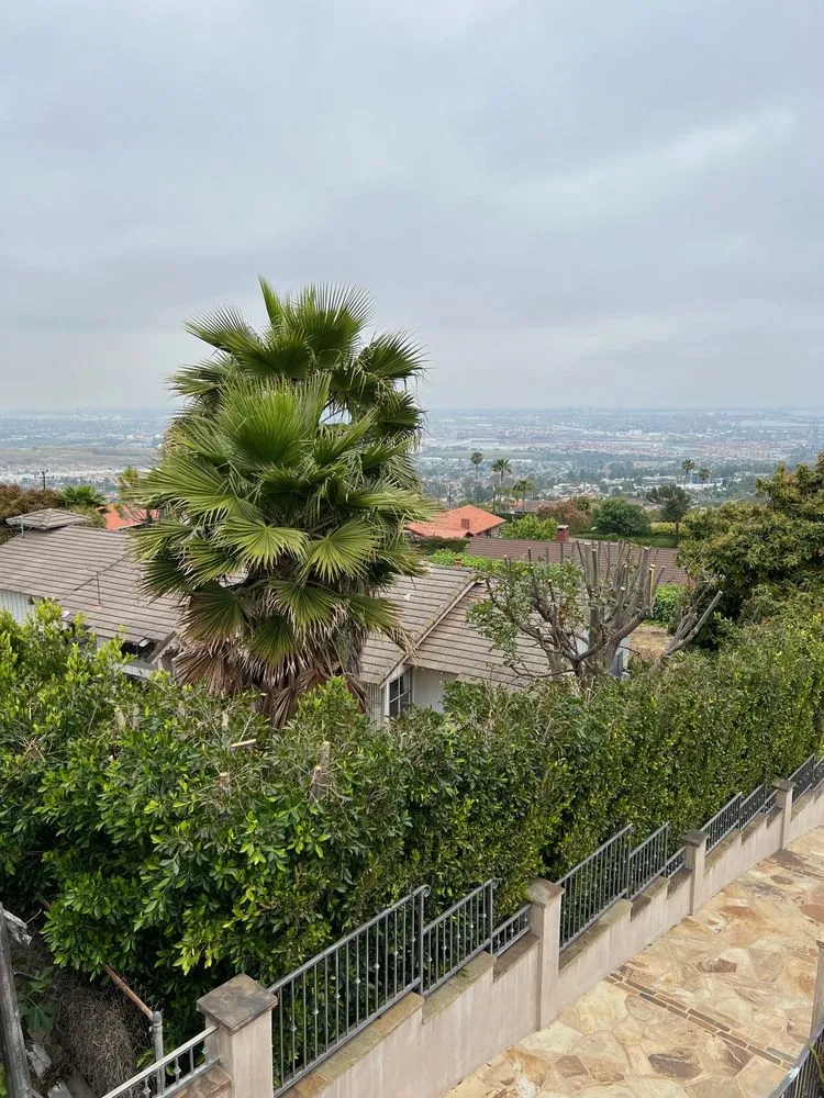 Affordable landscape installation in Long Beach, CA by EJ landscape