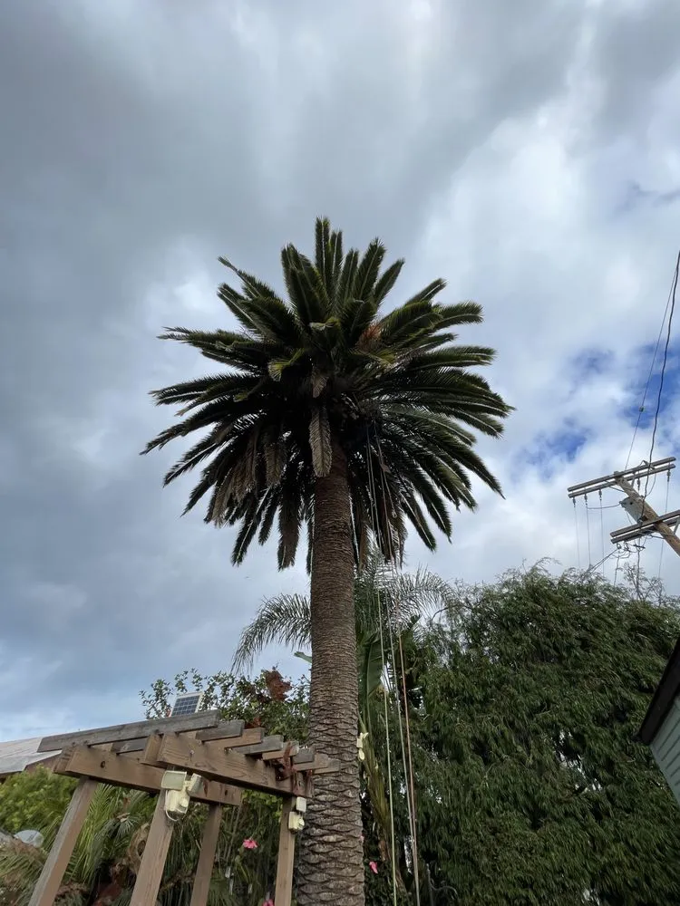 Trusted garden landscaping experts serving Long Beach, CA - EJ landscape