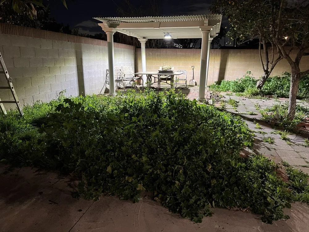 Reliable garden landscaping in Long Beach, CA by EJ landscape