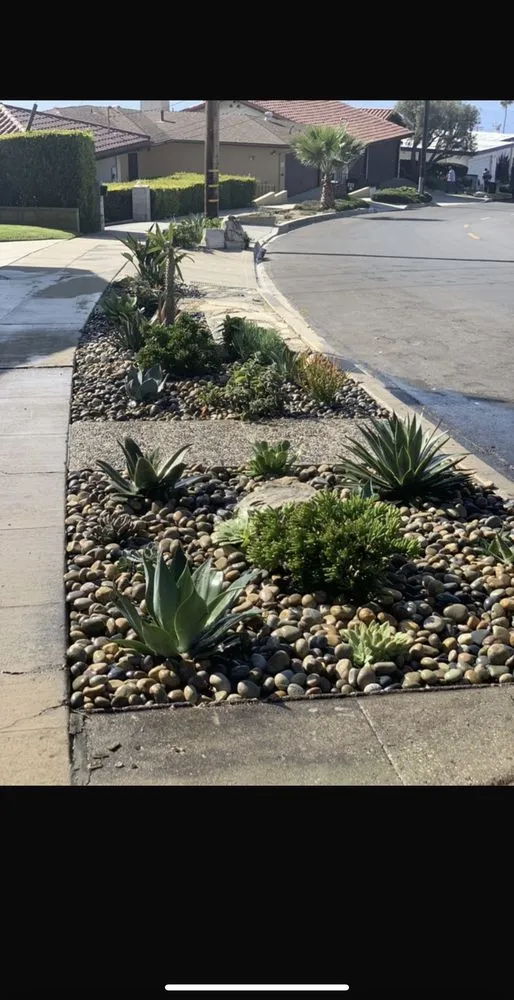 Trusted residential landscaping for residential properties across Long Beach, CA - EJ landscape