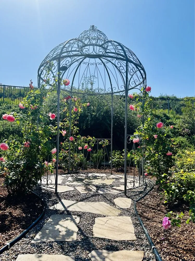 Local yard cleanup service in Long Beach, CA - EJ landscape