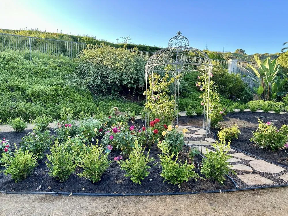 Professional yard cleanup service in Long Beach, CA - EJ landscape