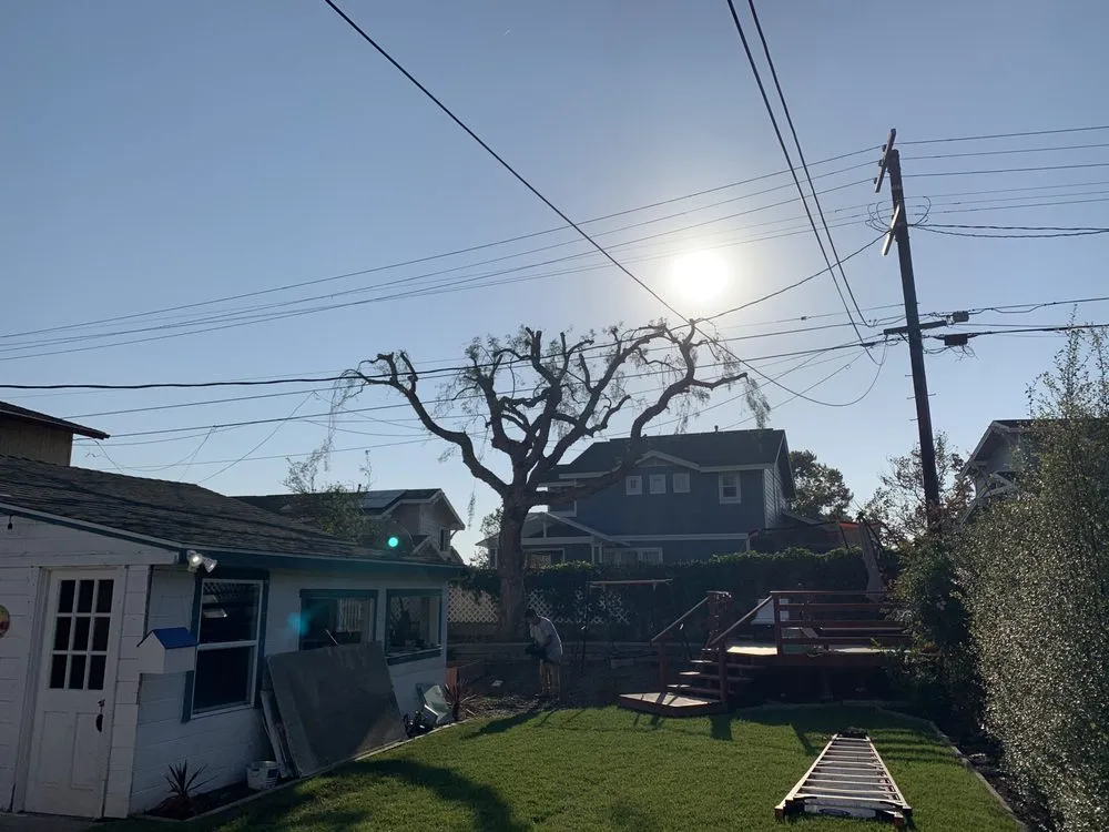 Affordable outdoor landscaping experts serving Long Beach, CA - EJ landscape