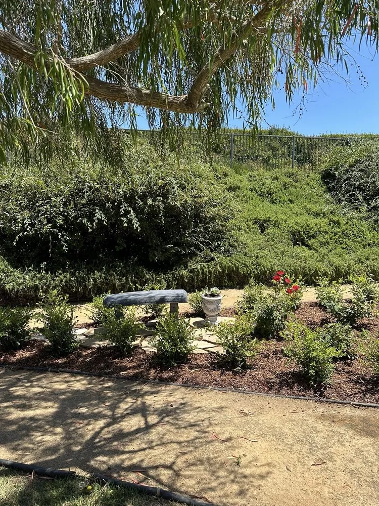 Local outdoor landscaping in Long Beach, CA by EJ landscape