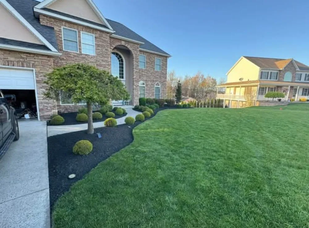 Affordable yard cleanup service in Taylor, PA by E&J Landscape