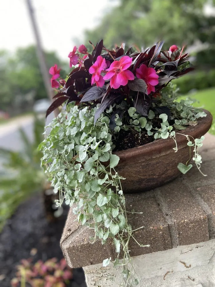 Trusted yard maintenance in Austin, TX by EJ Landscaping & Irrigation