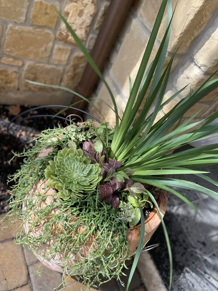 Expert lawn care service near you in Austin, TX by EJ Landscaping & Irrigation