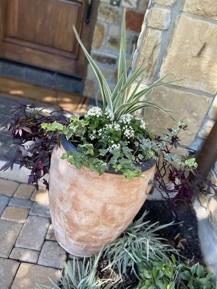 Trusted landscape installation experts serving Austin, TX - EJ Landscaping & Irrigation