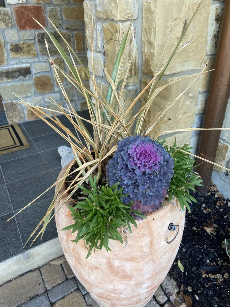 Custom garden landscaping in Austin, TX by EJ Landscaping & Irrigation