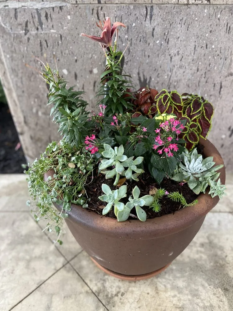 Expert lawn care service for residential properties across Austin, TX - EJ Landscaping & Irrigation