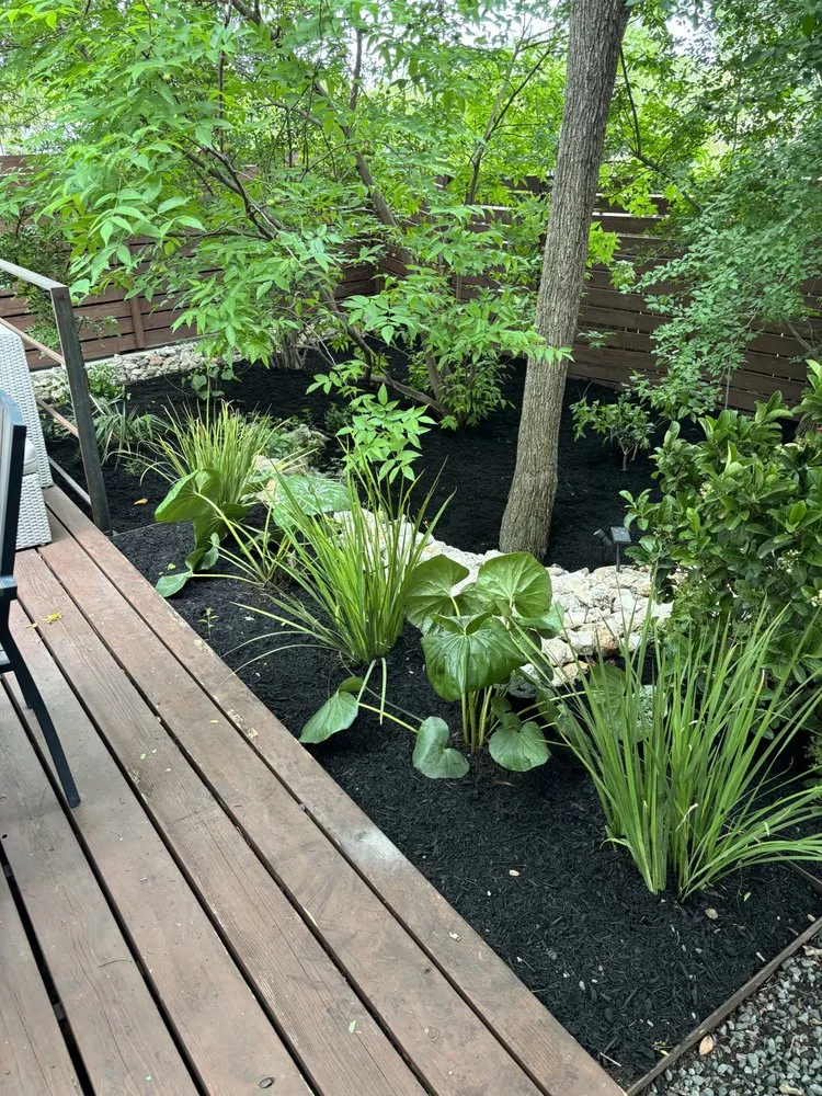 Expert garden landscaping in Austin, TX by EJ Landscaping & Irrigation