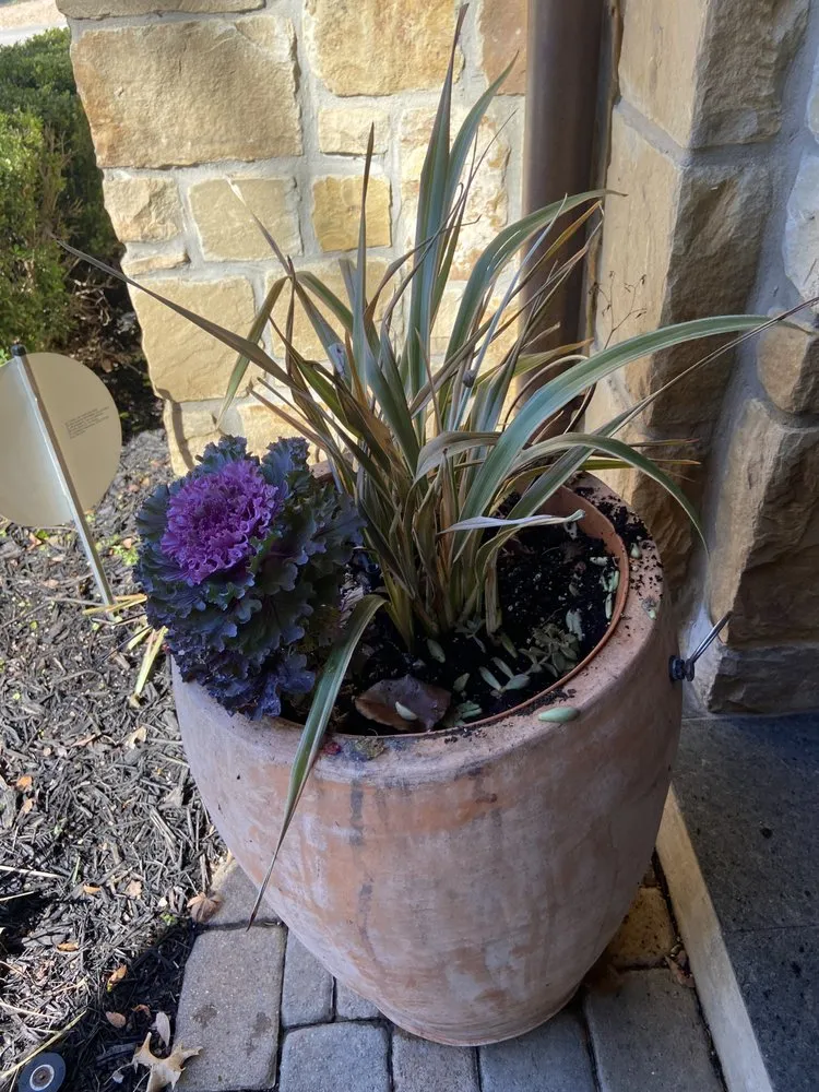 Trusted yard cleanup service for beautiful yards across Austin, TX - EJ Landscaping & Irrigation