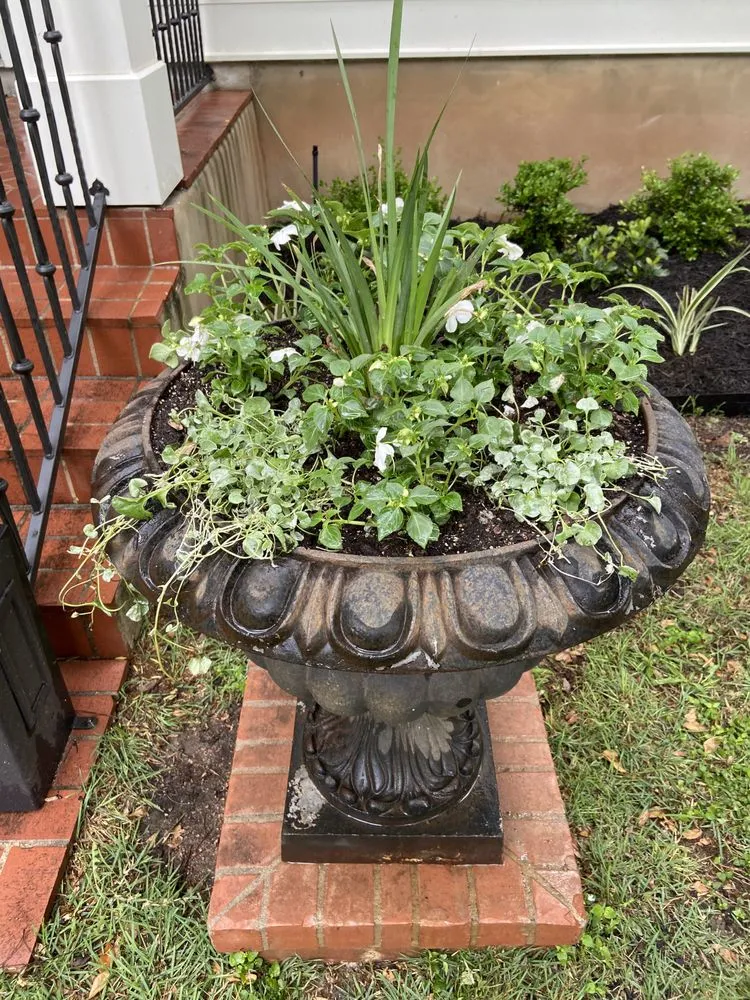 Affordable landscape design experts serving Austin, TX - EJ Landscaping & Irrigation