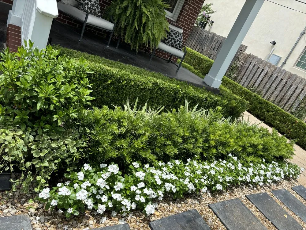 Reliable lawn care service for residential properties in Austin, TX by EJ Landscaping & Irrigation