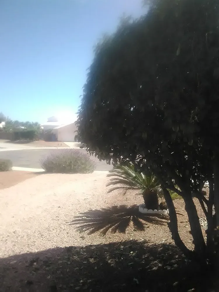 Trusted garden landscaping for residential properties in Sierra Vista, AZ by EJ Landscaping And Handyman Services