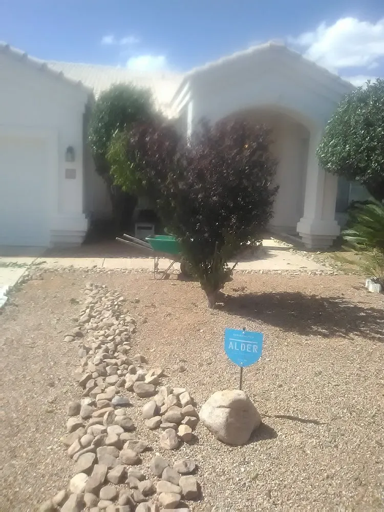 Affordable lawn care service in Sierra Vista, AZ by EJ Landscaping And Handyman Services