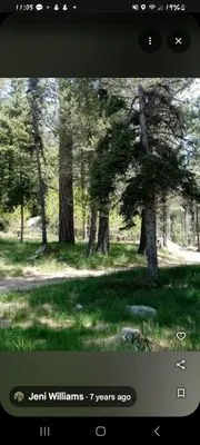 EJ Landscaping And Handyman Services Logo