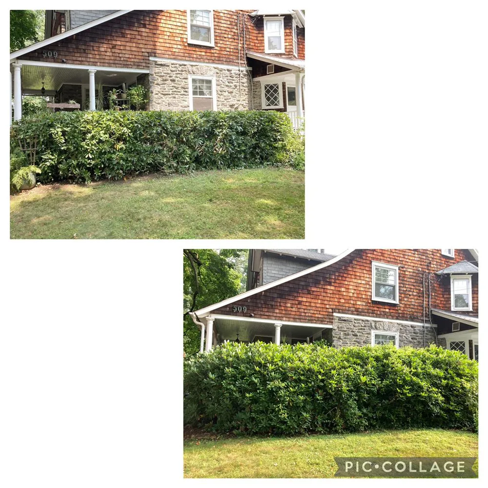 Affordable landscape installation in Brookhaven, PA by E&J Landscaping