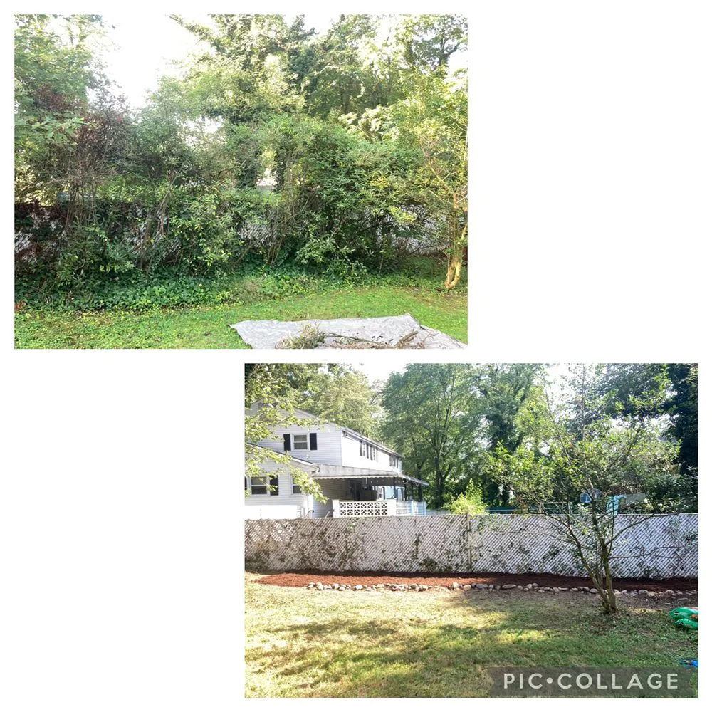 Local yard maintenance for outdoor upgrades in Brookhaven, PA by E&J Landscaping