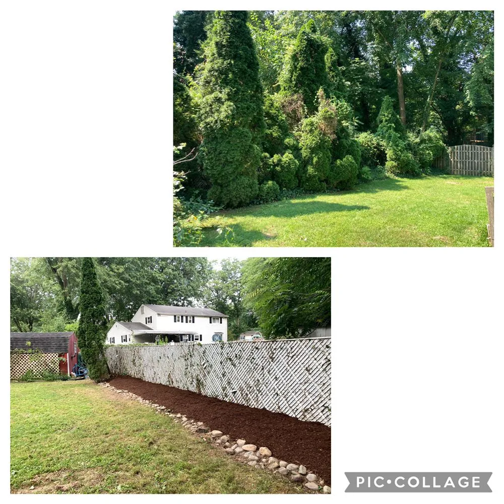 Local yard maintenance in Brookhaven, PA - E&J Landscaping