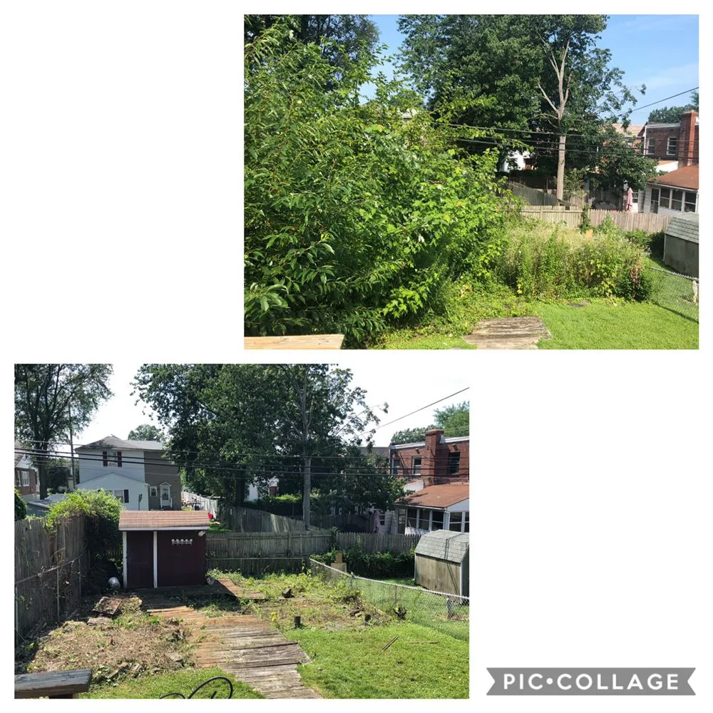 Expert yard maintenance for residential properties in Brookhaven, PA by E&J Landscaping